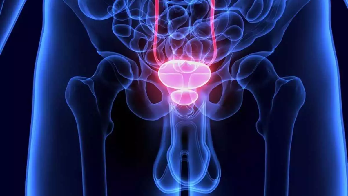 Los beneficios de Prostasen para la salud de la próstata y el bienestar masculino